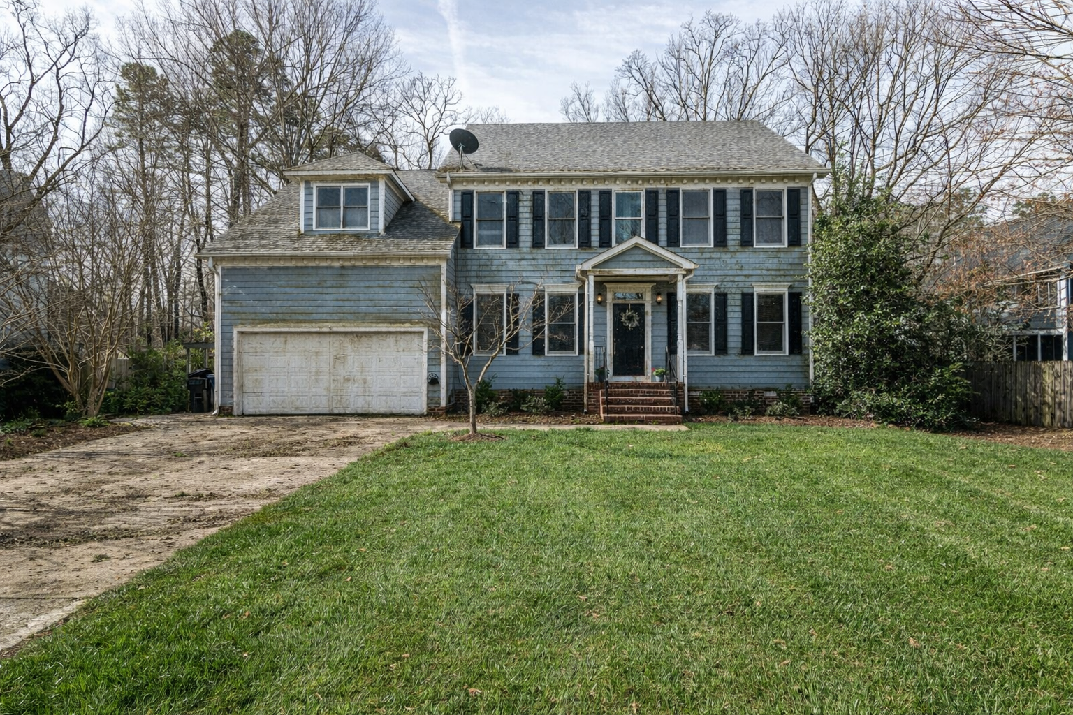 Before — driveway cleaning